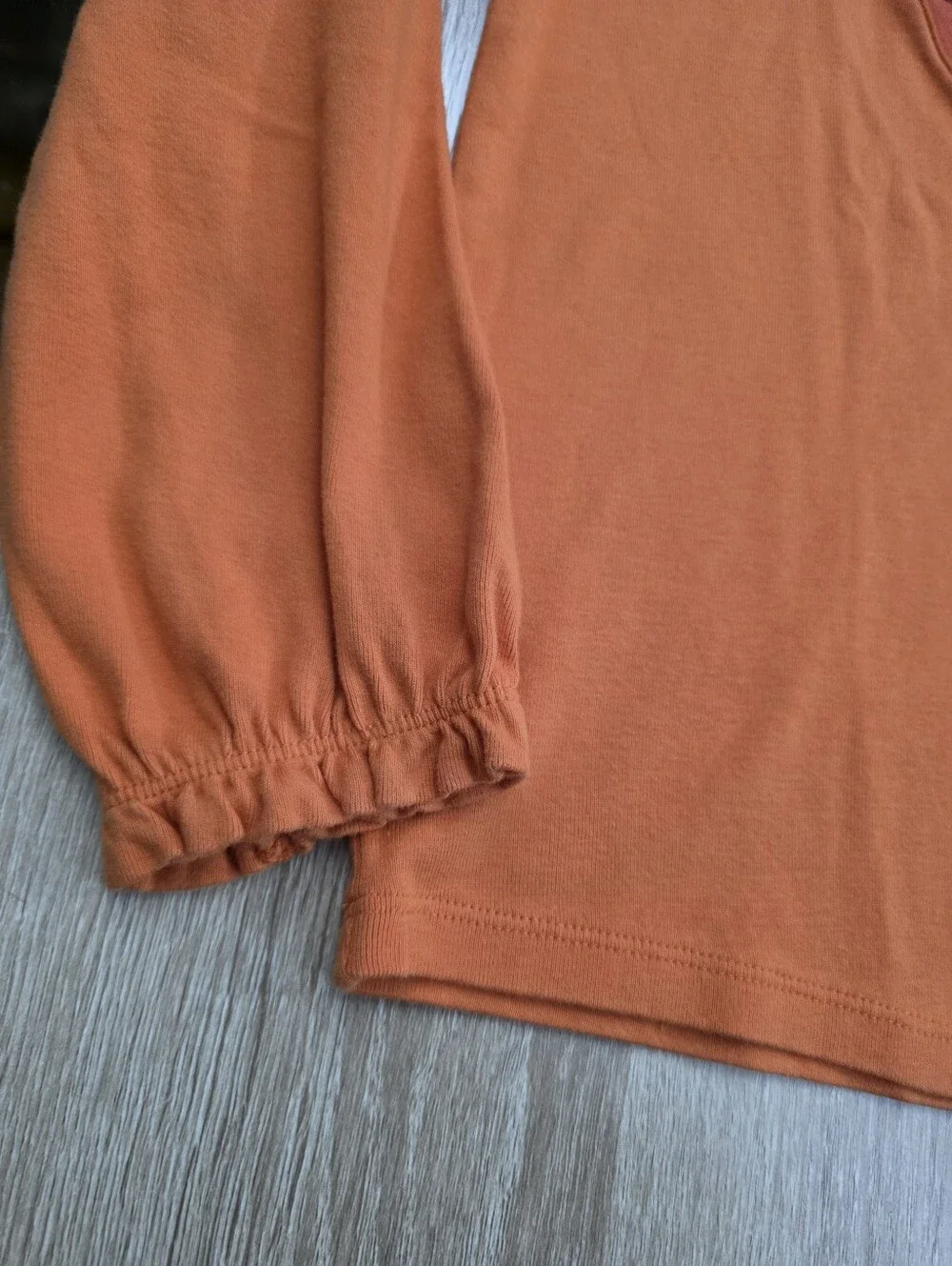 Gymboree Girls Orange Long-Sleeve Pumpkin Mouse Applique Tee Size 12